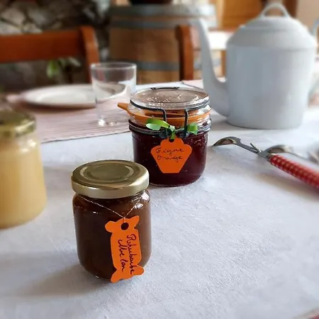 Bed & Breakfast A L'oree Du Cagire Juzet-d'Izaut